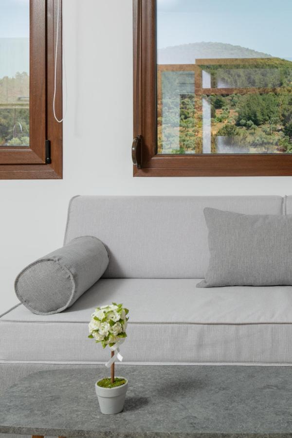 DIKAP Luxury Aparts Limenaria  Extérieur photo